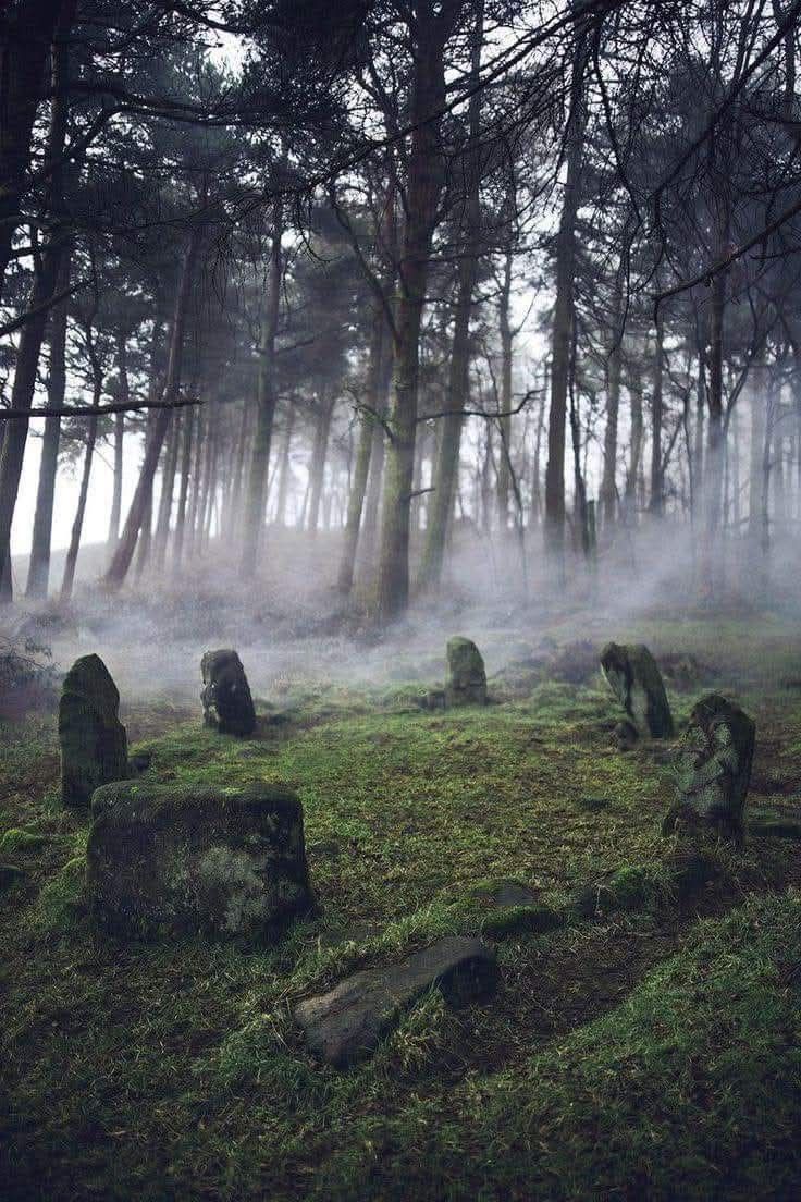 Terceira imaxe sobre o enganido